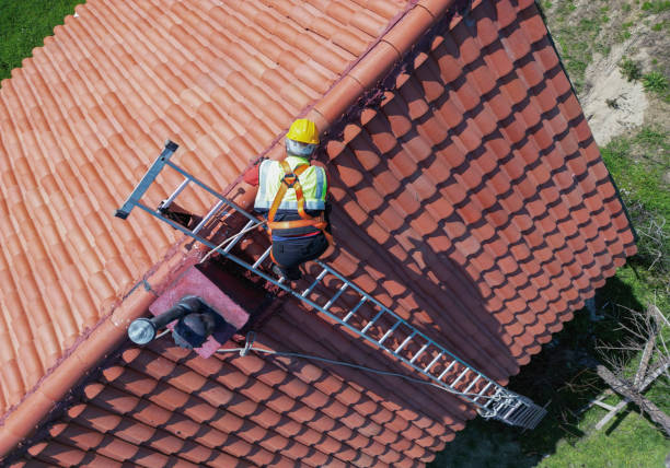 Best Roof Moss and Algae Removal  in Elk Plain, WA