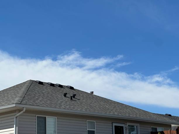 Best Asphalt Shingles Roofing  in Elk Plain, WA